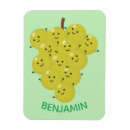 Search for bunch magnets Fruit