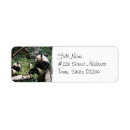Search for panda return address labels Bear