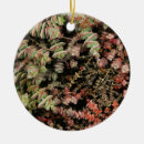 Search for vines round christmas tree decorations Nature