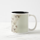 Search for ragdoll cat mugs Colour image