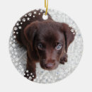 Search for lovely christmas tree decorations Dog