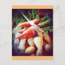 Search for veggie postcards Vegetables