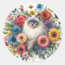 Search for ragdoll stickers Kitty