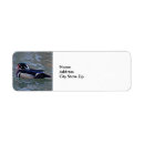 Search for wood duck return address labels Waterfowl
