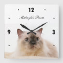 Search for birman cat posters Cute