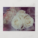 Search for v postcards White