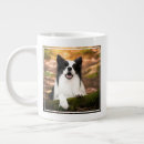 Search for border collie puppy mugs Canine