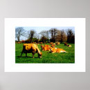 Search for herding posters Landscape