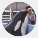 Search for aquatic animal stickers Water