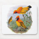 Search for in paradise mousepads Animal