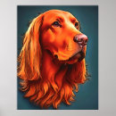 Search for irish setter posters Pet