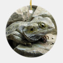 Search for bearded dragon christmas tree decorations Animal