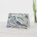 Search for myrtle beach cards Friend