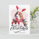 Search for cute beagles cards Pet