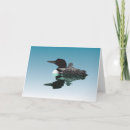 Search for funny bird cards note cards Nature
