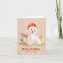 Search for westie dog christmas cards Pet