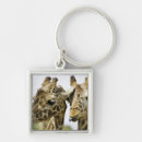 Search for togetherness key rings vertical