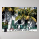 Search for tree key art Florida
