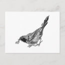 Search for zen doodle postcards Bird