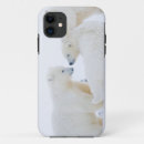 Search for sea bear iphone cases Fauna