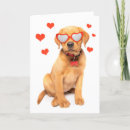 Search for labrador valentines day cards Cute