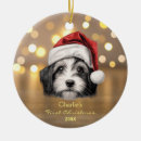 Search for havanese christmas tree decorations Dog lover