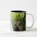 Search for mount rainier national park mugs Outdoors