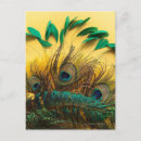 Search for feather postcards Peacock