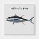 Search for fins magnets Fish