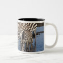Search for zebras drinking mugs Black and white
