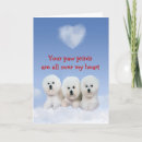 Search for bichon frise cards Puppies