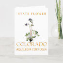 Search for the state flower cards Colorado