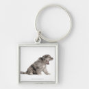 Search for puppy key rings Nature