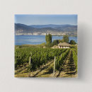 Search for vineyards badges Green