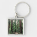 Search for muir woods key rings California