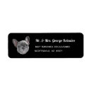Search for french bulldogs return address labels French bulldog puppy