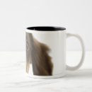 Search for wiener dog mugs Animal