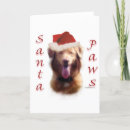 Search for nova scotia christmas cards Dog