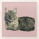 Search for domesticated barware Cute