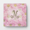 Search for pink plaques Pretty