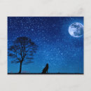 Search for howling wolf at moon postcards Wildlife