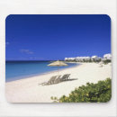 Search for west mousepads tropical