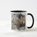Search for north cascades national park mugs Usa