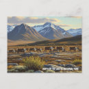 Search for migrating postcards Alaska