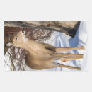 Search for white tail deer stickers Doe