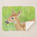 Search for danita delimont blankets White tailed deer