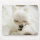 Search for sofa mousepads Cute