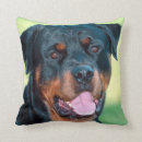 Search for rottweiler cushions Canine
