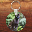 Search for pedigree key rings Pet