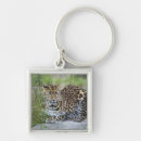Search for panthera key rings Full length